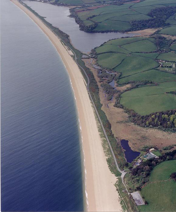 Incredible Berry Head Start 2022 » start.cryptobrain.info