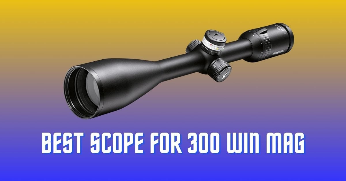 5 Best Scopes for 300 Win Mag Rifle » Full of Advance Features