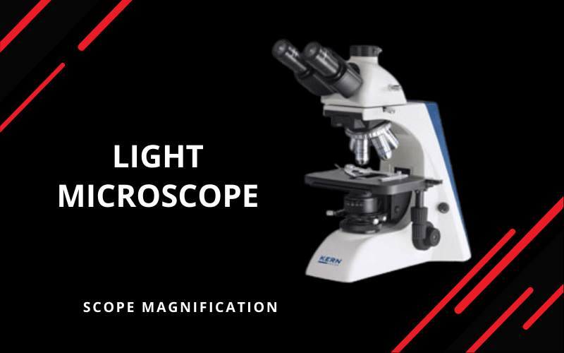 Light Microscope Parts Types & Benefits of the Scope 2023