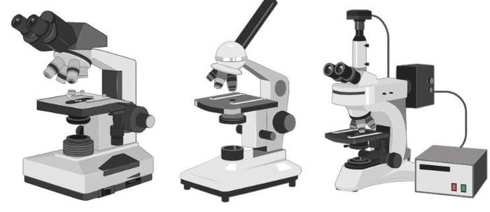 Types of Microscopes | Comparison Chart Functions and Uses