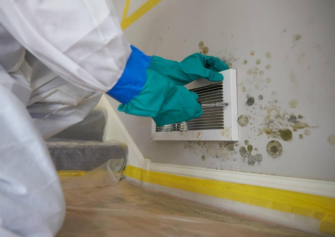 How To Get a Mold Inspection Done?