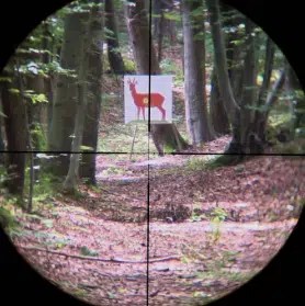 Vortex Diamondback 4-12x40 Review (2024): Worth the Money? - Scopes Field