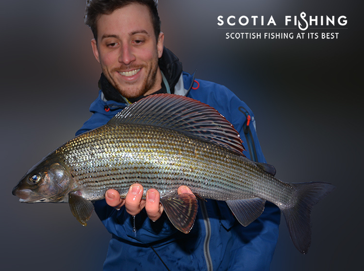 Grayling Fishing in Scotland With Professional Guides