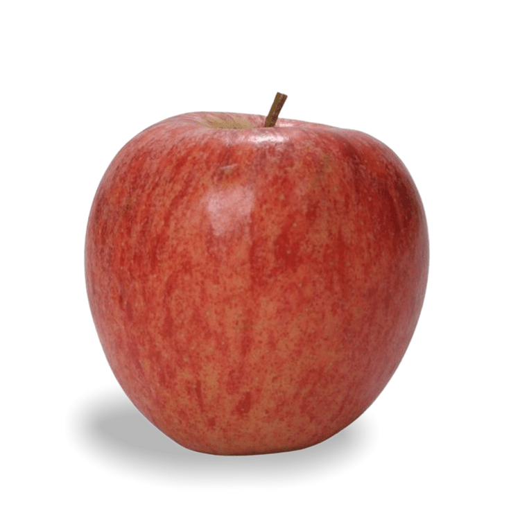 Gala Scotian Gold Apples