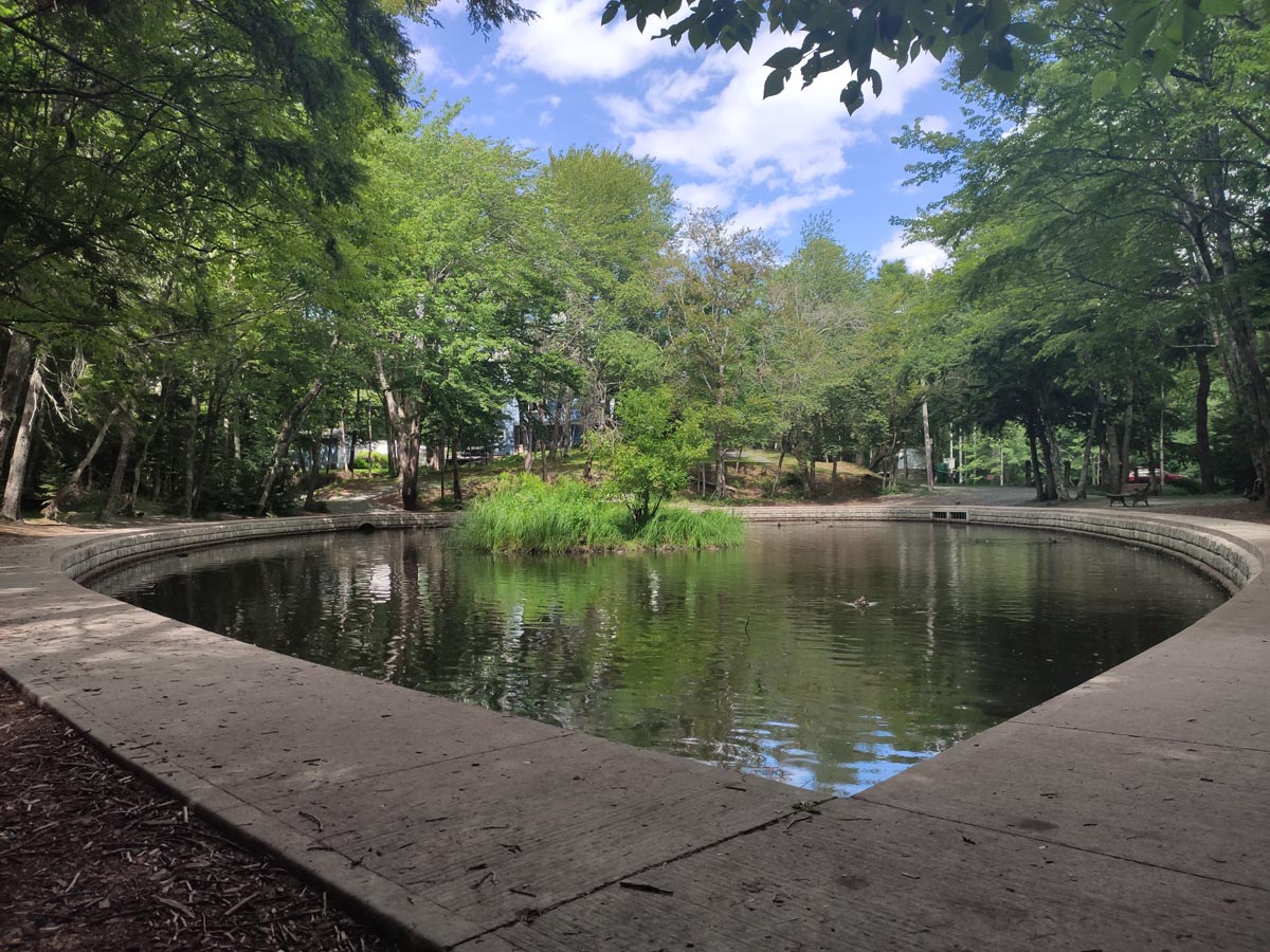 Hemlock Ravine Scotia Sites