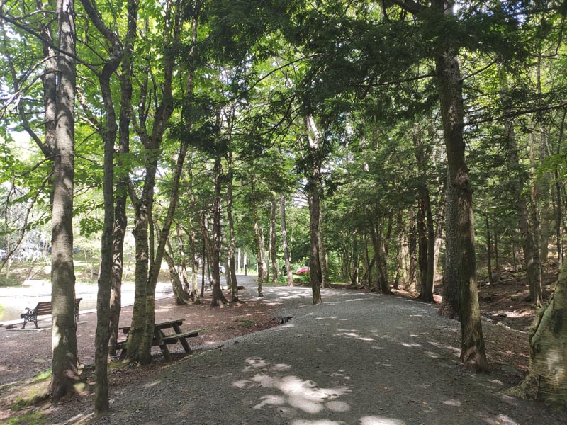 Hemlock Ravine Scotia Sites