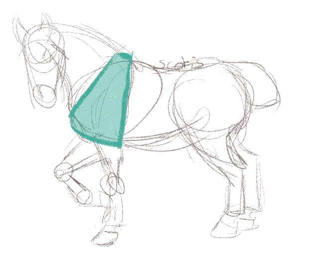 Dessiner Les Chevaux Une Mã â Thode Simple Pour Apprendre.
