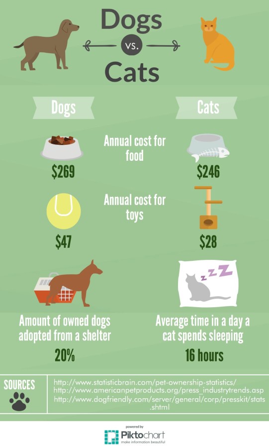 Dogs vs. Cats Scot Scoop News