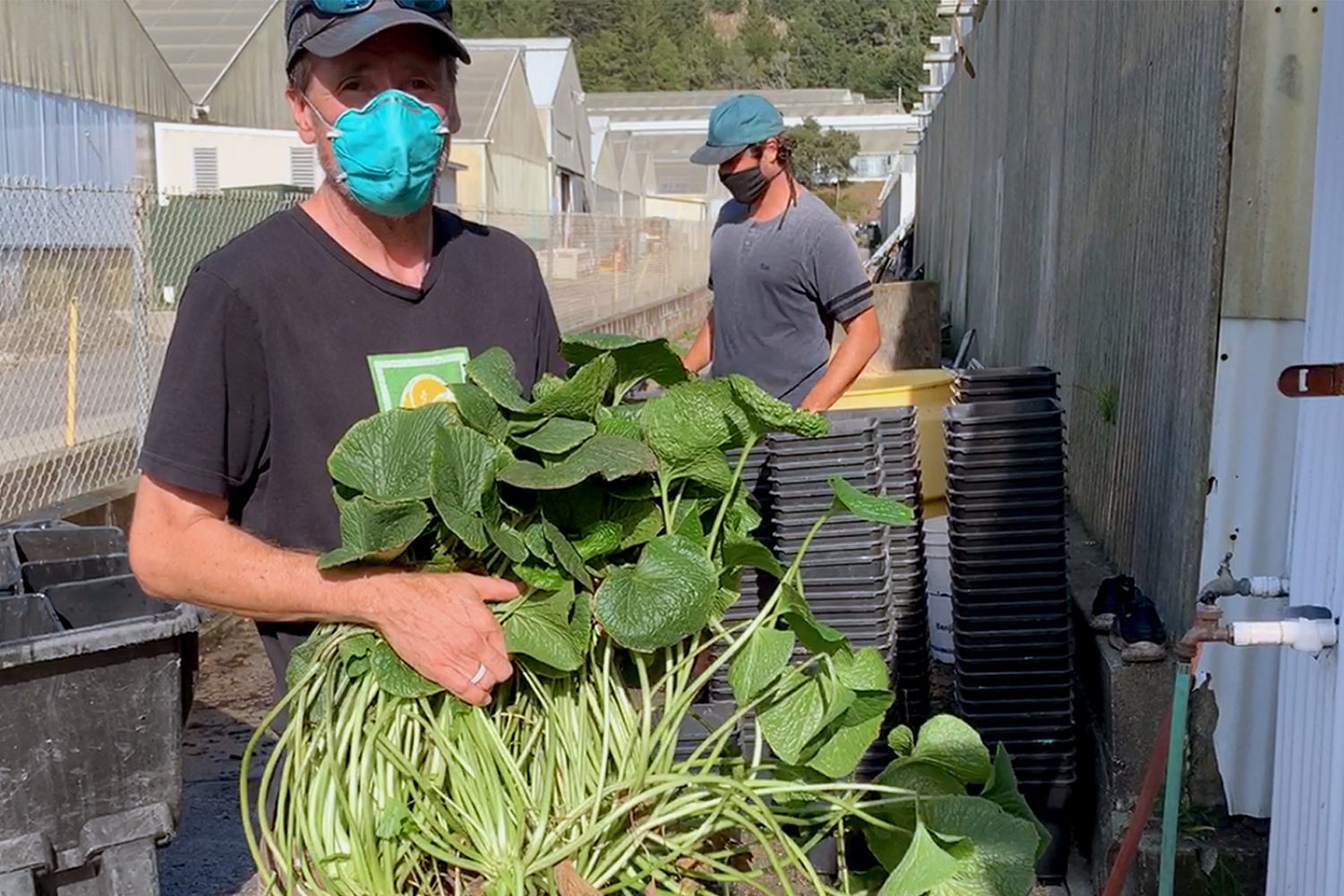 Half Moon Bay Wasabi spices up the sushi scene Scot Scoop News