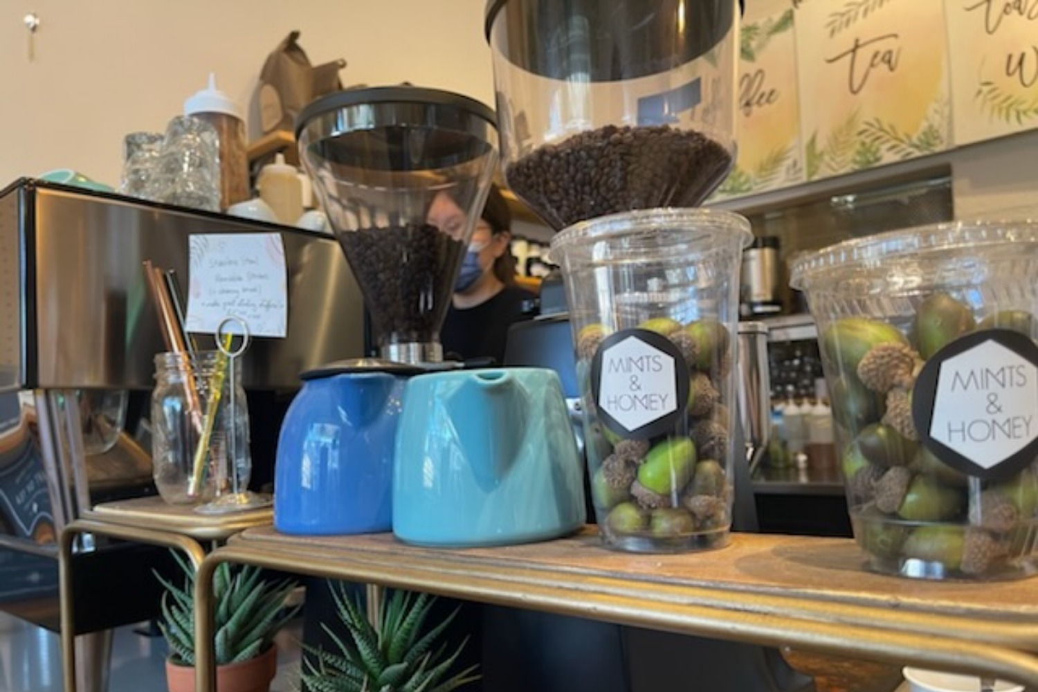 Scot Scoop News Mints and Honey