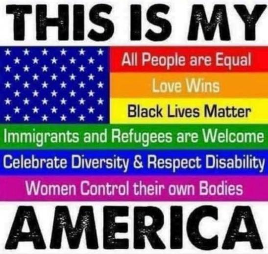 This is my America Scottie's Playtime