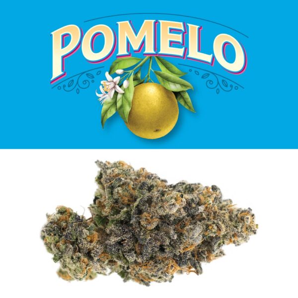 Cookies Pomelo Scottie Strains