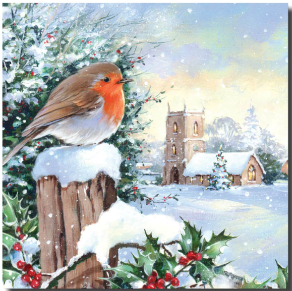 Winter Robin Scottish Cot Death Trust