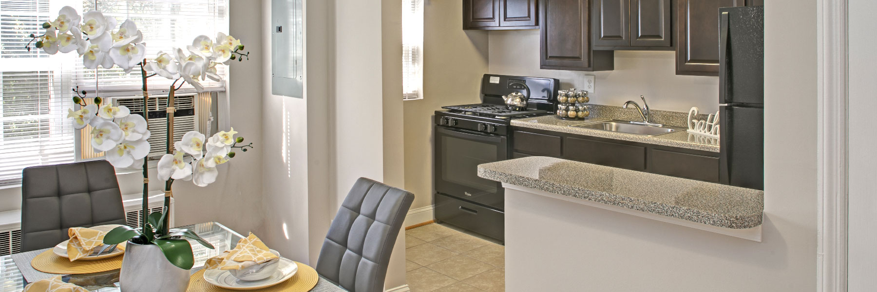 Scott Management Home