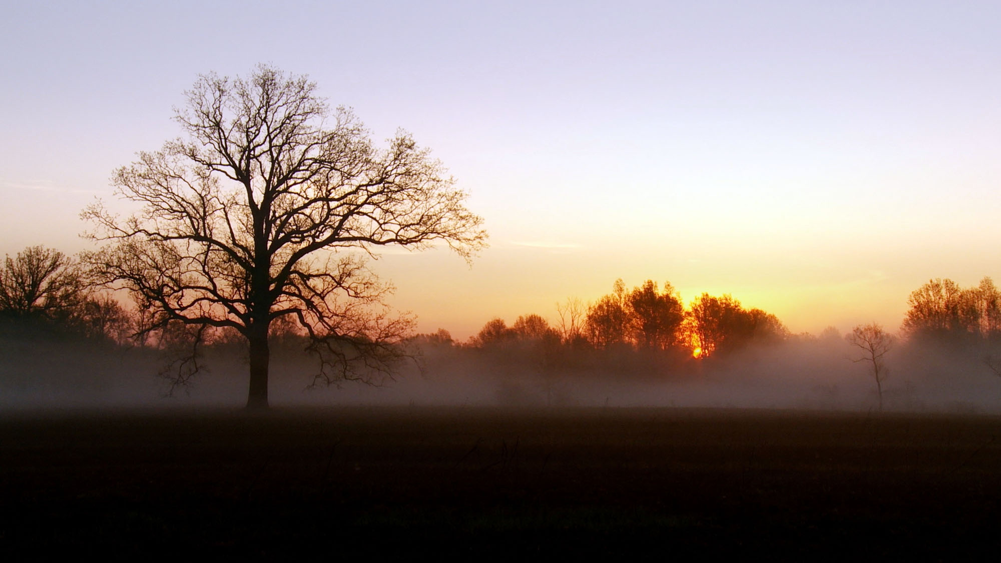 Saving The Great Swamp Battle to Defeat the Jetport Scott Morris