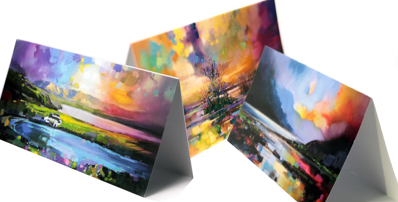 Box of 24 Greetings Cards (mixed) 3 IMAGES Scott Naismith