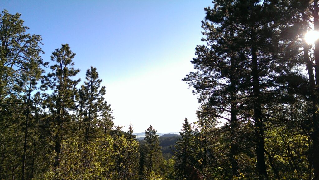 Black Hills Remote Acres For Sale Conservative Insights