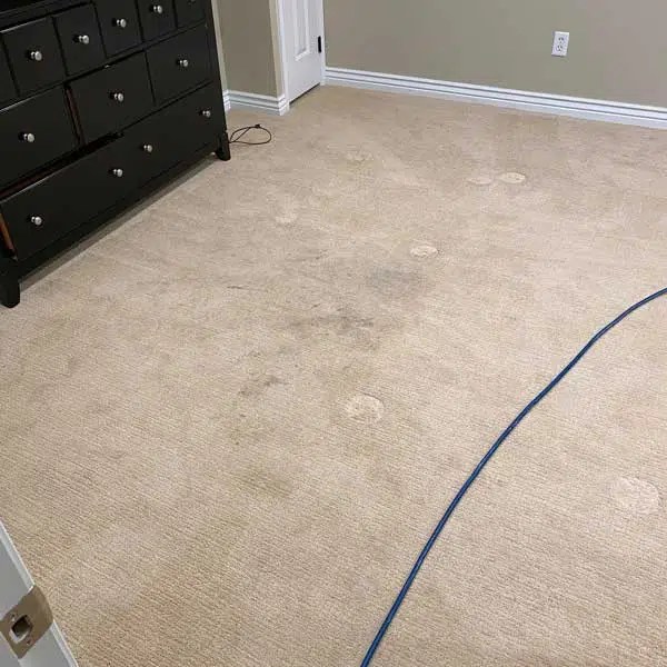Before & After Scott's Carpet & Upholstery Cleaning