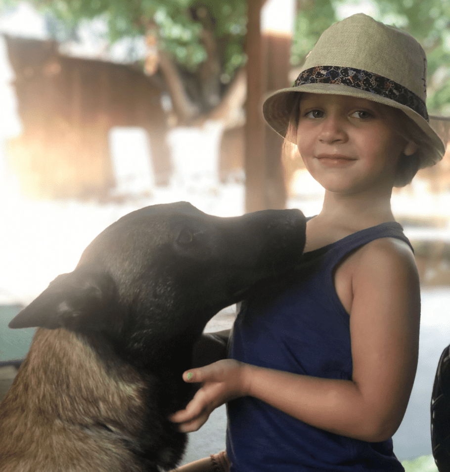 family protection draft Protection Dogs for Sale Scott's K9