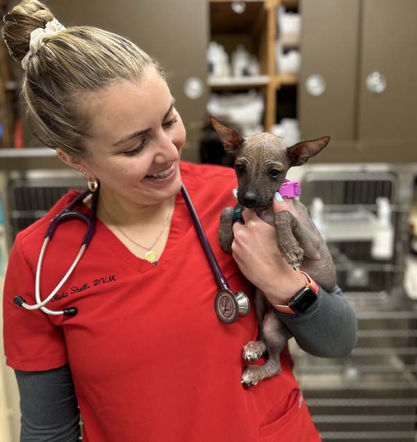 Pet Emergency And Critical Care In Scotts Valley, CA SVVC