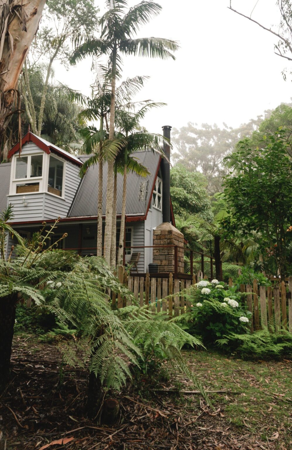Springbrook National Park The Best Waterfalls & Hikes Scotty Pass
