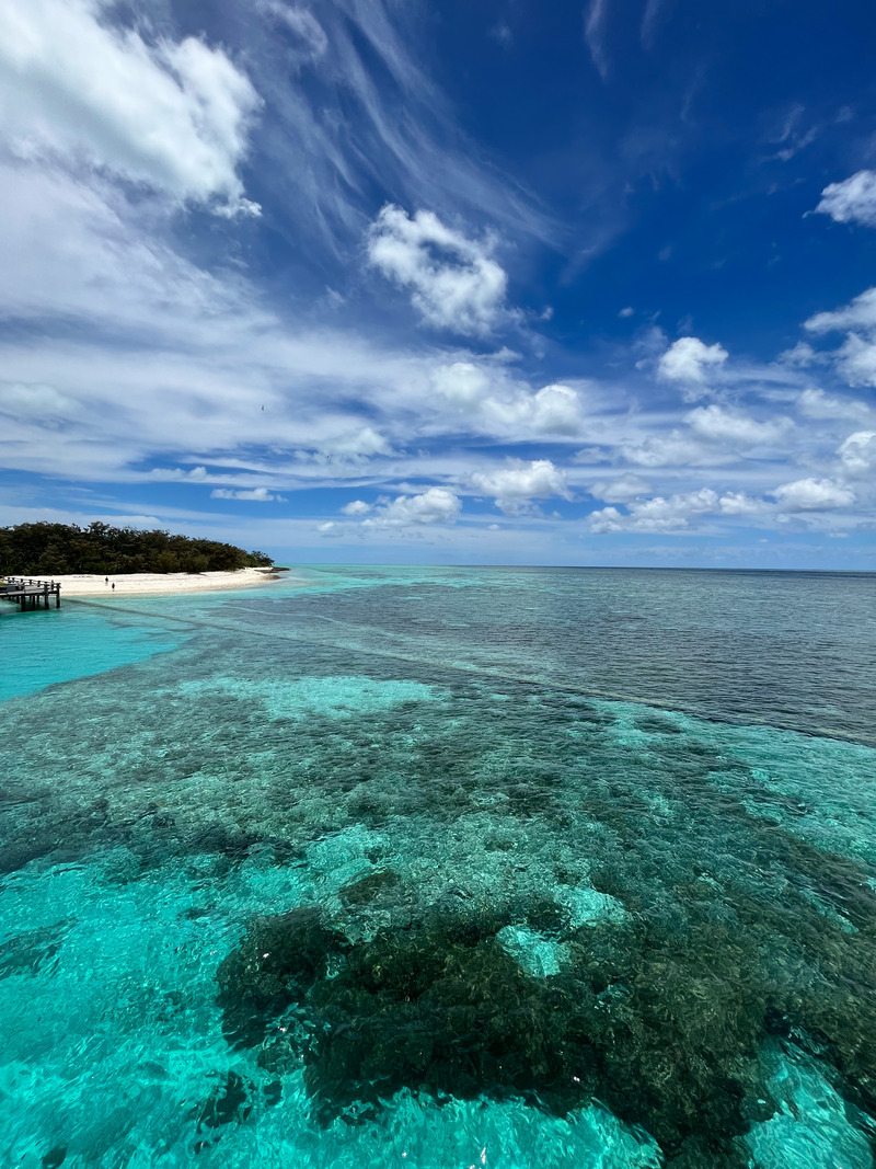 Visit Heron Island A Complete Guide For 2024