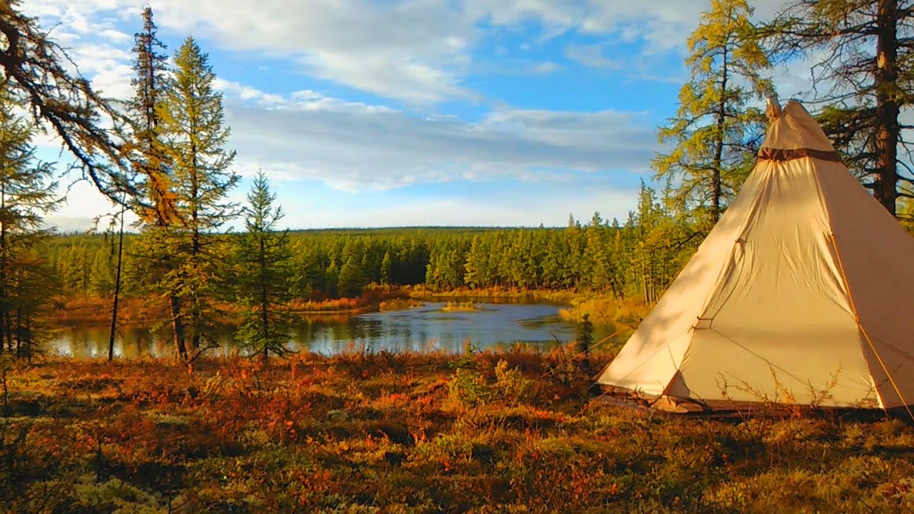 Путешествие по западной сибири видео Путешествие По Тайге Сибири Видео
