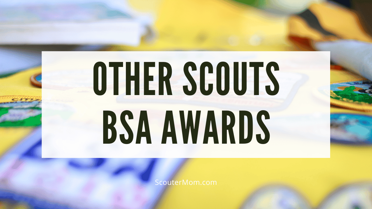 Other Scouts BSA Awards Helps and Documents Scouter Mom