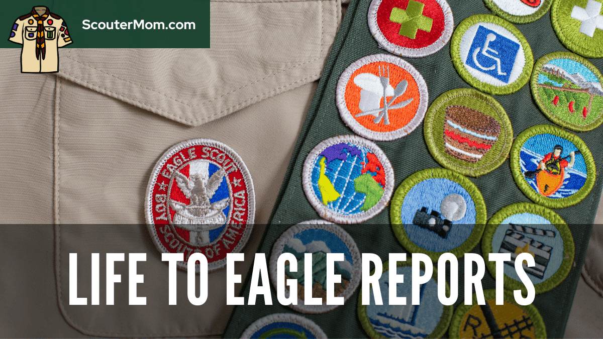 Life to Eagle Reports Scouter Mom