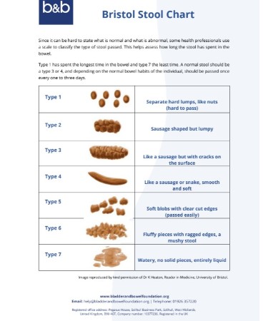Bristol Stool Chart PDF - Free Download (PRINTABLE)