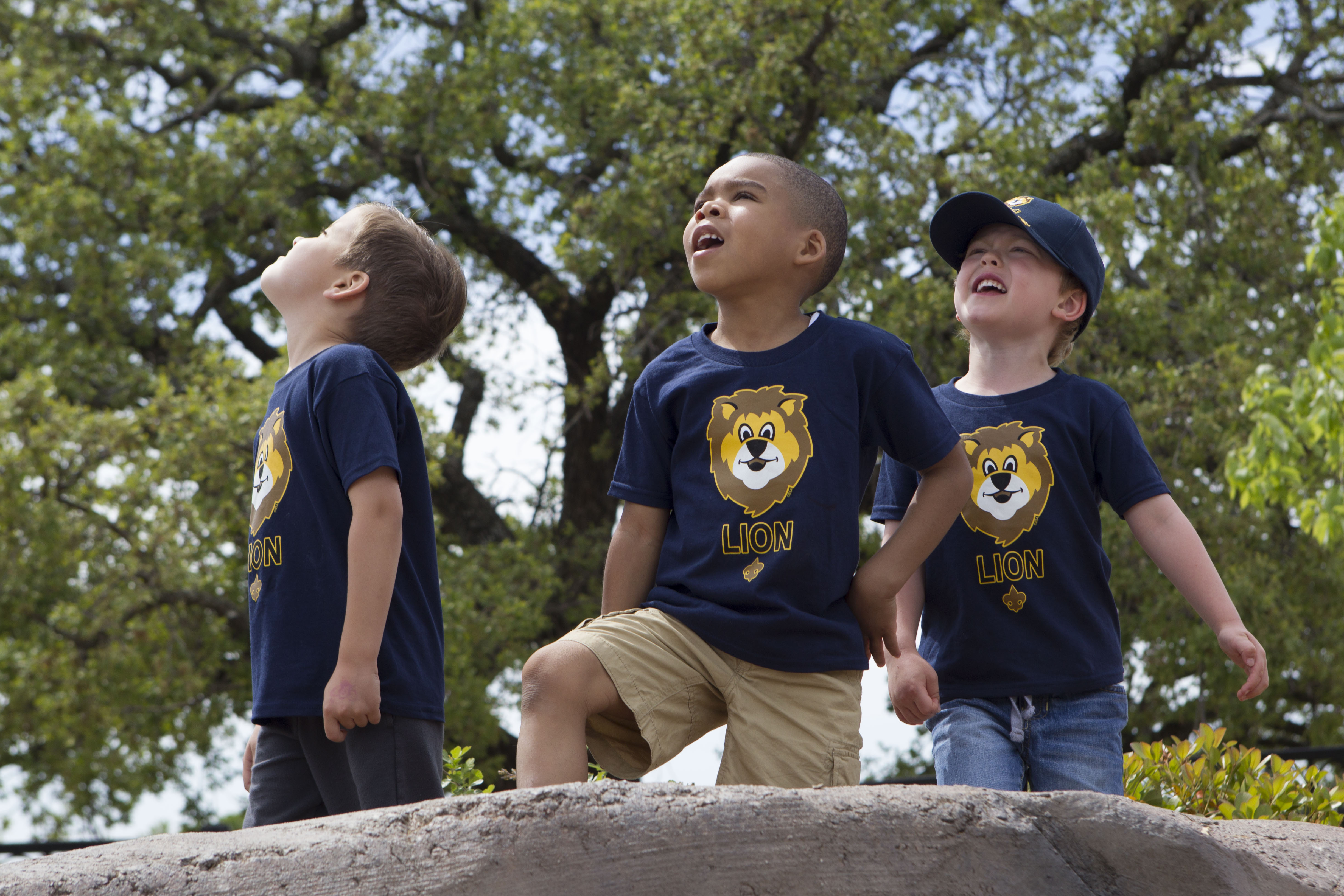 What You Need to Know About Lions Integrating With Cub Scouts