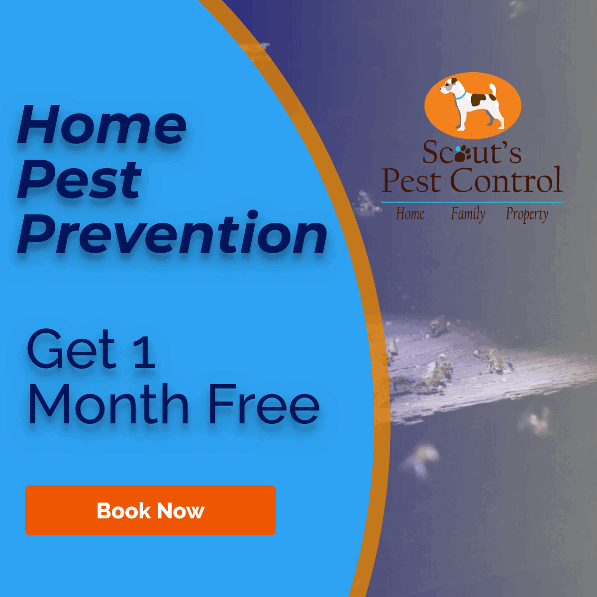 Best Pest Control Greenville Sc at Alison Duncan blog
