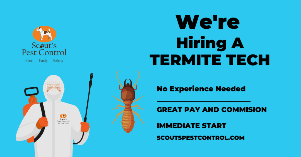 Hiring In Greenville SC Termite Technician Scout's Pest Control
