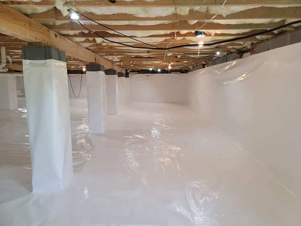 Scouts Pest Control Greenville SC