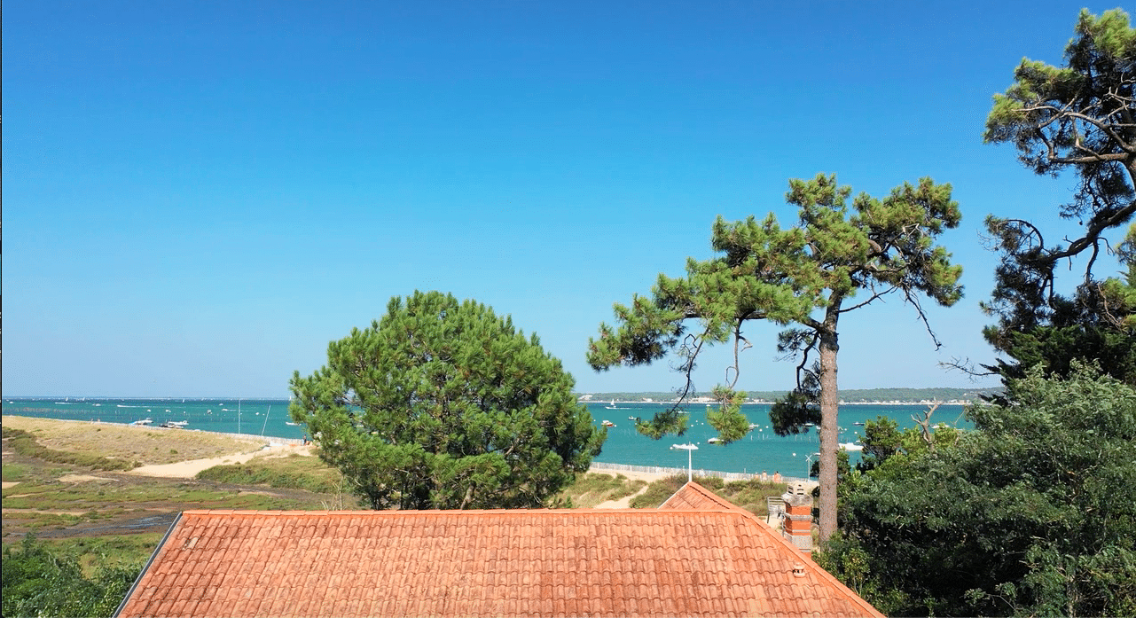 CAPFERRET / 44 HECTARES / 1ÈRE LIGNE / ACCÈS DIRECT SUR LA PLAGE DU