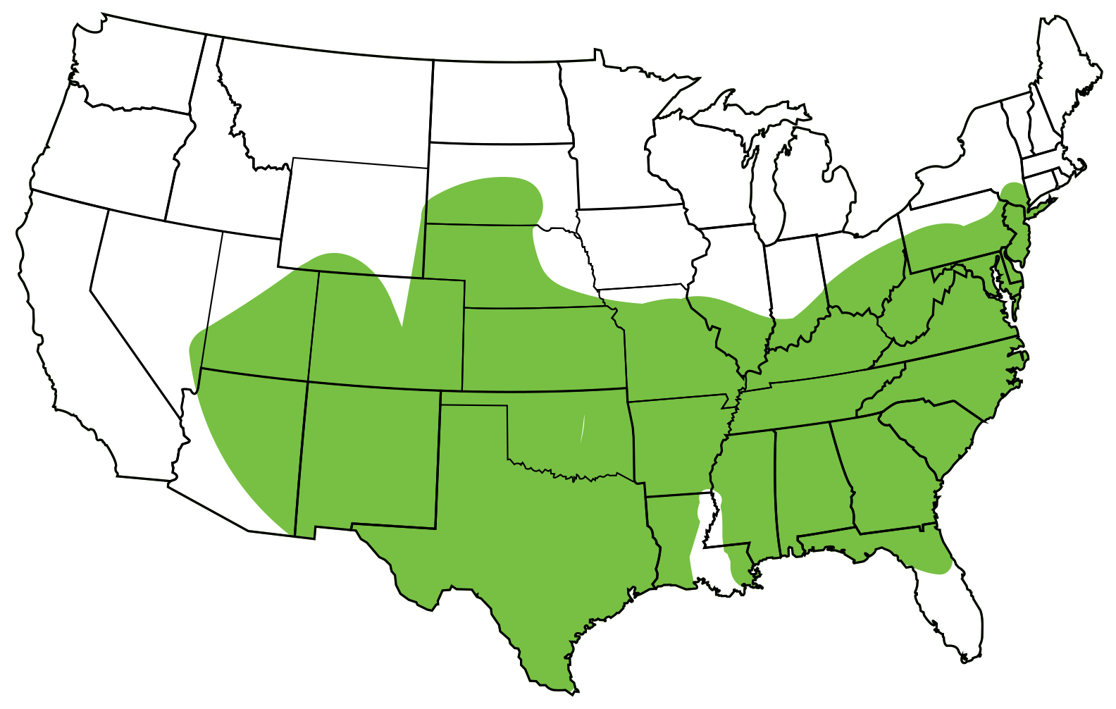 Eastern Fence Lizard South Carolina Partners in Amphibian and Reptile
