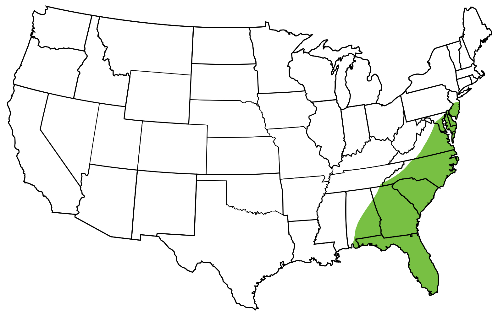 Eastern Kingsnake South Carolina Partners in Amphibian and Reptile Conservation