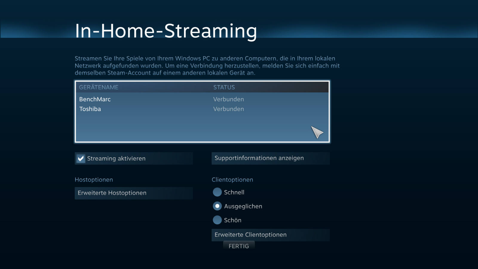 1080p mit 60 fps in Stereo Steam InHome Streaming im Test Remote