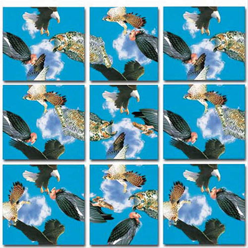Birds of Prey Scramble Squares® Scramble Squares®