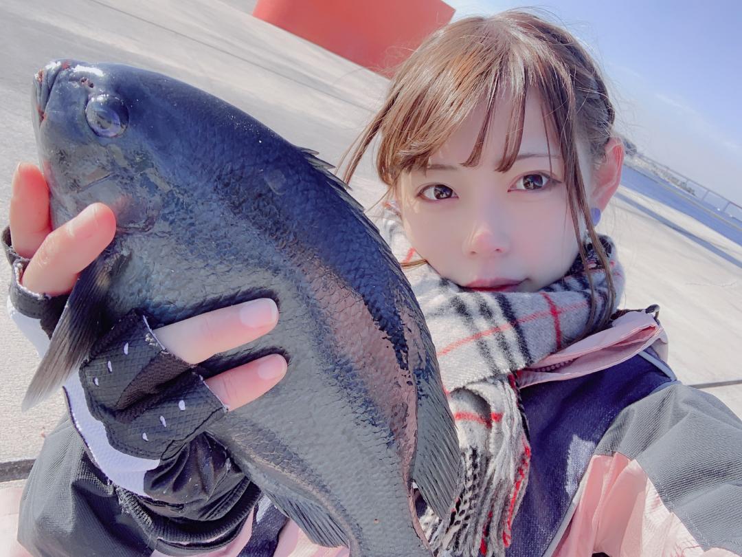 初心者にも 三浦海岸の新堤防で「フカセ釣り」 SCRAMBLE（スクランブル）