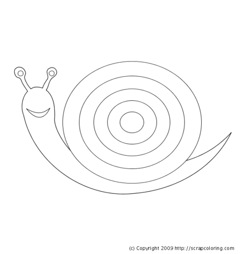 Snail coloring page