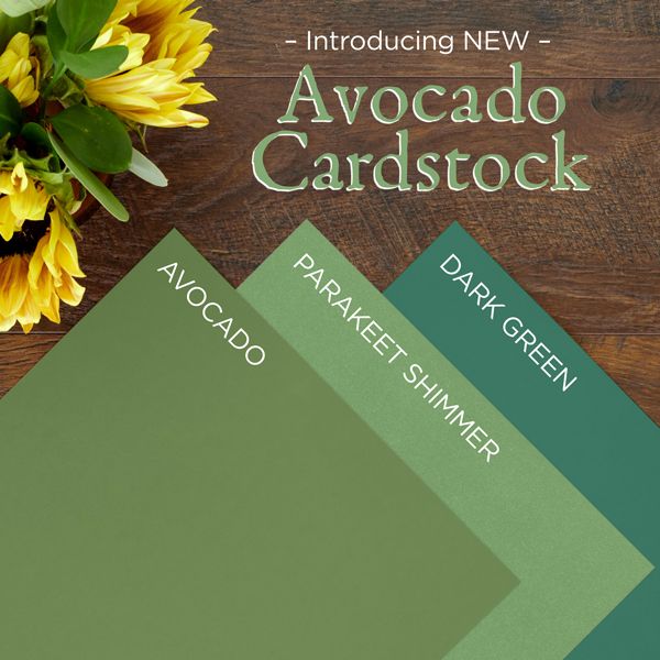 July 2023 Product & Promo Launch