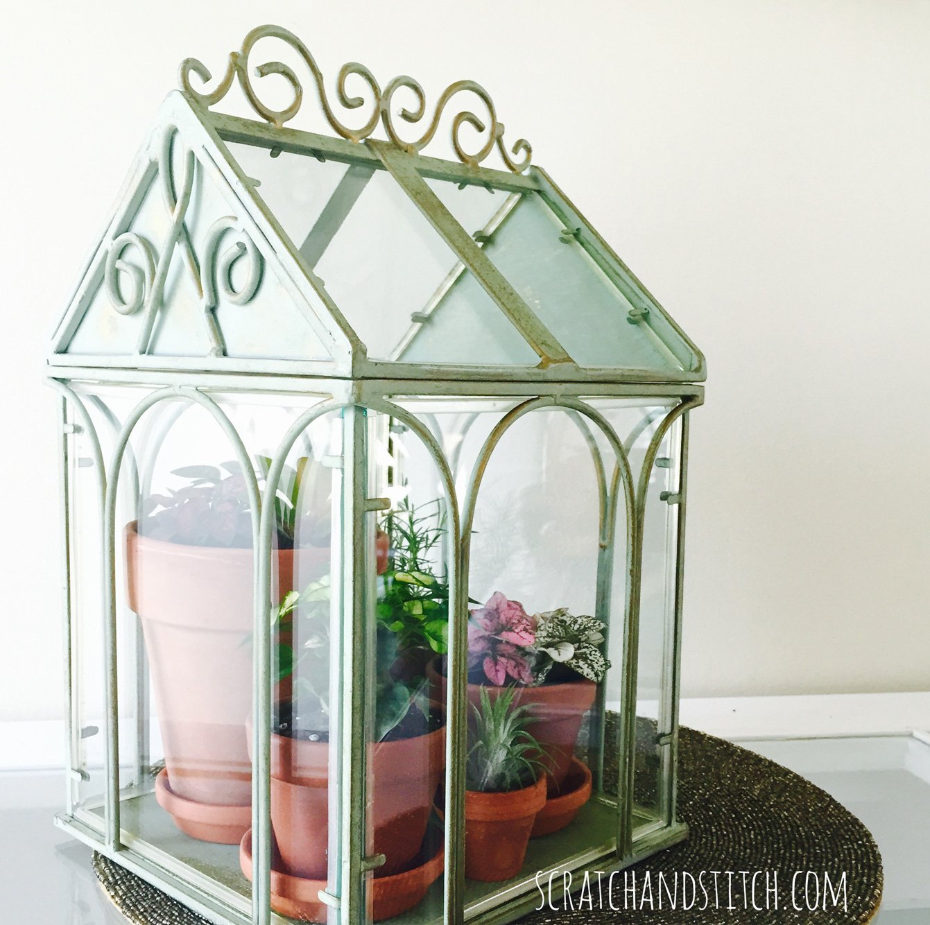 A Terrarium with Terra Cotta Pots