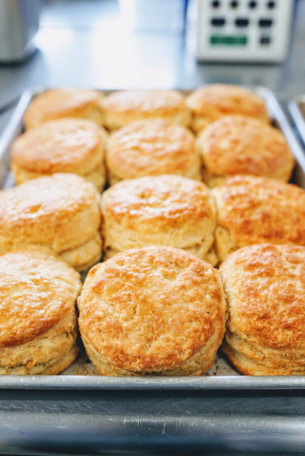 Contact Us Scratch Biscuit Co.