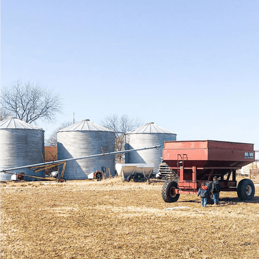 Gallery Scratchboard Kitchen