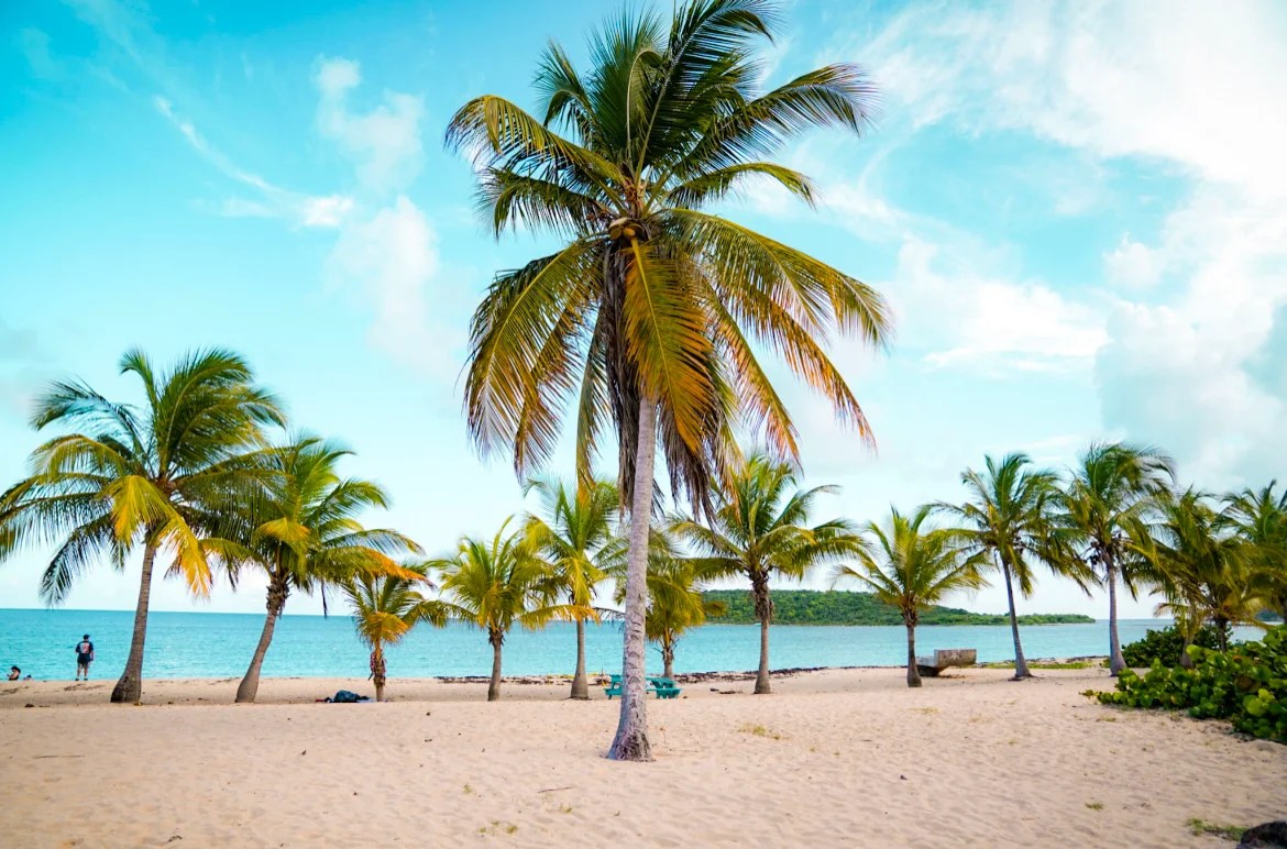 The Best Things to Do in Vieques, Puerto Rico Scratch your mapa