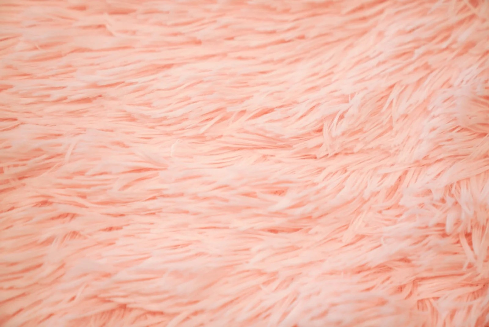 The Ultimate Travel Gift & Airport Hack The Pillow Travel Case