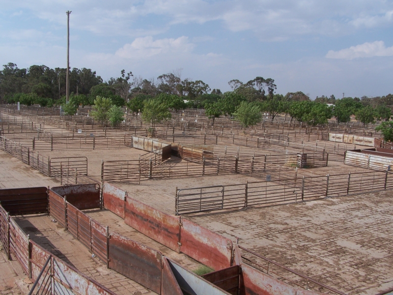 Farms Screen Central Page 3