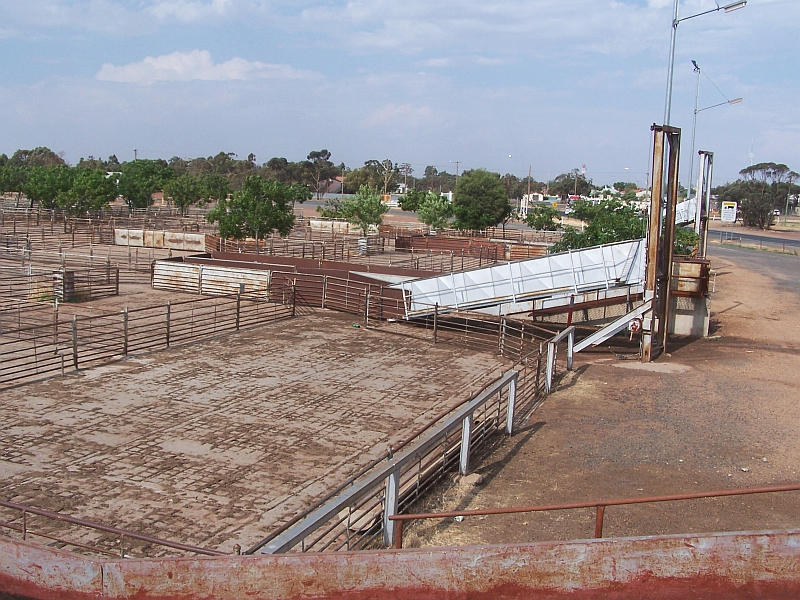 Farms Screen Central Page 3