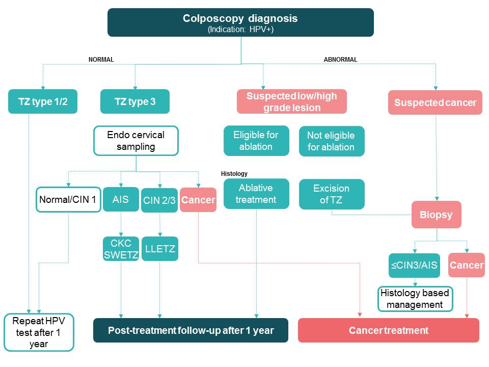 Using HPV tests for cervical cancer screening and managing HPVpositive